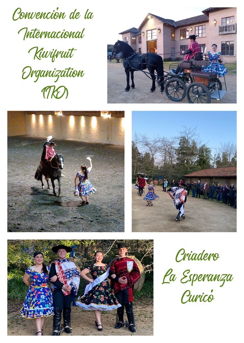 WhatsApp Image 2023-09-13 at 07.31.28-1