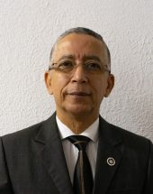 Estructura Organizacional