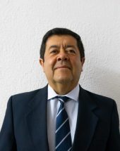 Estructura Organizacional